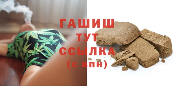 индика Горняк